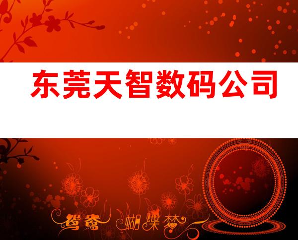 东莞天智数码公司