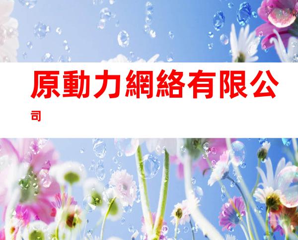 原動力網絡有限公司