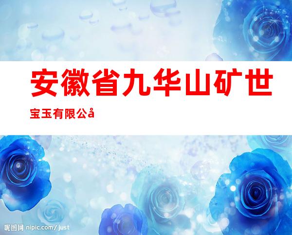 安徽省九华山矿世宝玉有限公司