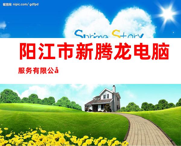 阳江市新腾龙电脑服务有限公司