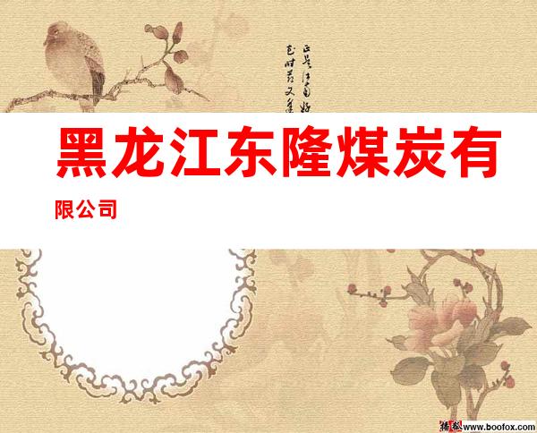 黑龙江东隆煤炭有限公司
